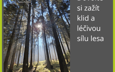 Dovolte si zažít klid a léčivou sílu lesa