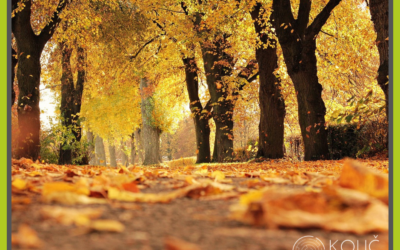 Jak si udělat nádherný podzim