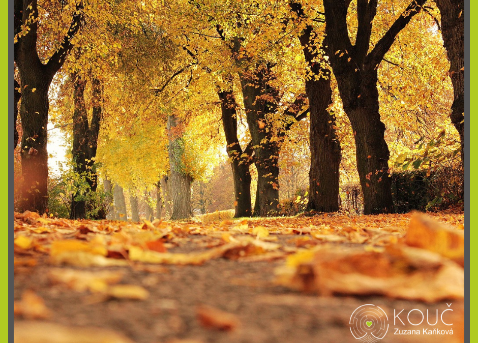 Jak si udělat nádherný podzim
