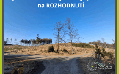 Být na křižovatce, je to nejlepší místo na rozhodnutí