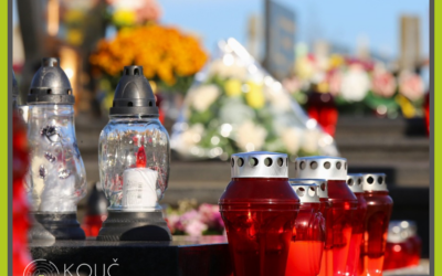 Listopad umí ukázat dar života