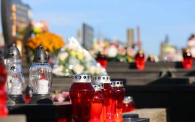 Listopad umí ukázat dar života