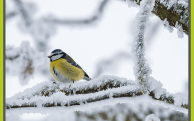 Ticho – tak hluboké a klidné jako nikdy jindy…