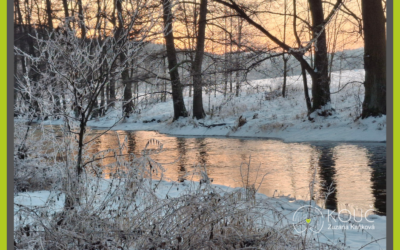 Voda je mým velkým pomocníkem při koučinku