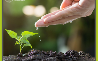 Co v březnu zaseješ, to můžeš na konci roku už žít