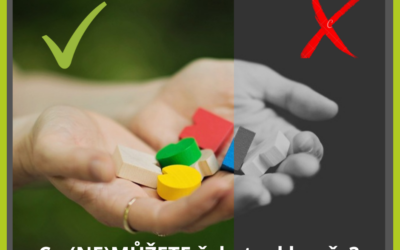 Co (NE)MŮŽETE čekat od kouče