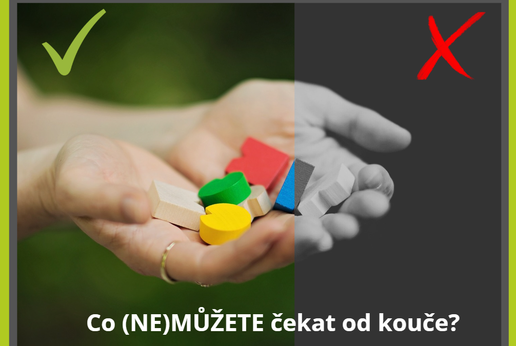 Co (NE)MŮŽETE čekat od kouče