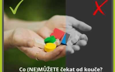 Co (NE)MŮŽETE čekat od kouče