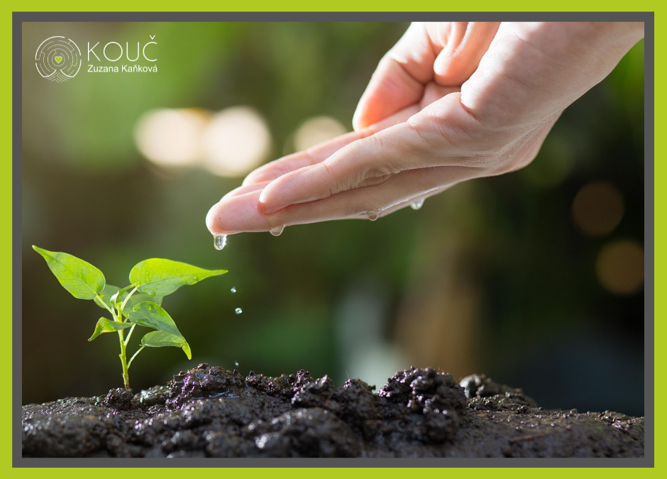 Co v březnu zaseješ, to můžeš na konci roku už žít