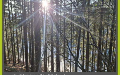 I takhle může vypadat koučovna