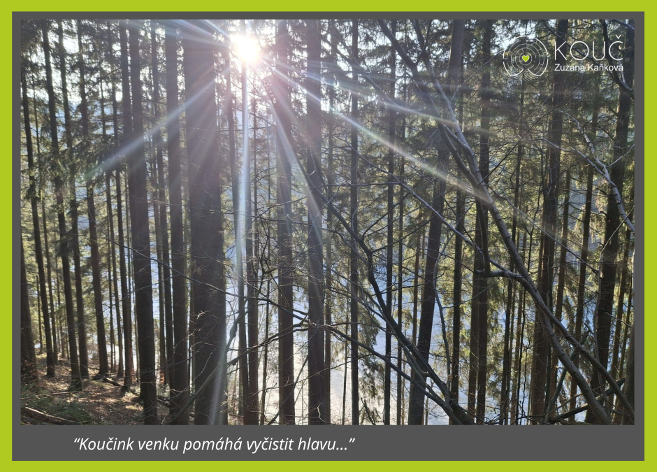 I takhle může vypadat koučovna